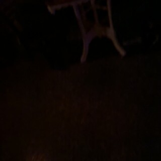 IMG_016944eb61374fda8727